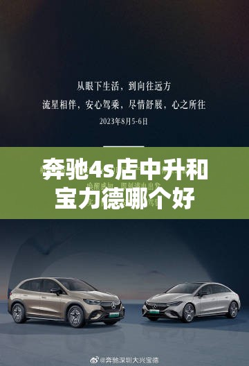 奔驰4s店中升和宝力德哪个好