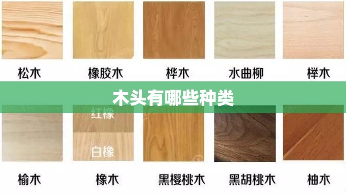 木头有哪些种类