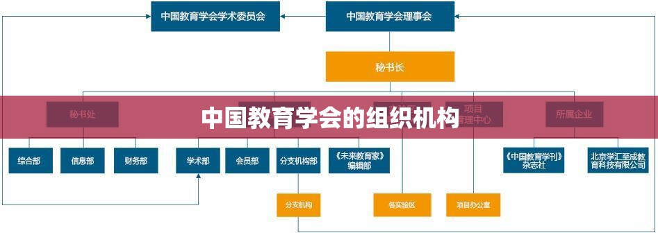 中国教育学会的组织机构