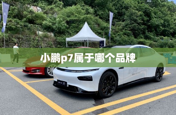 小鹏p7属于哪个品牌 小鹏p7属于哪个品牌