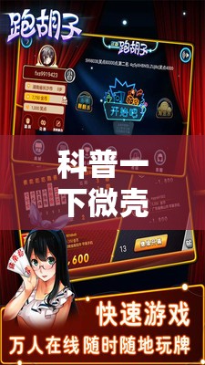 科普一下微壳跑胡子安装	”详细辅助教程分享