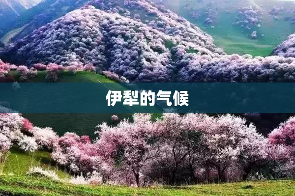 九代雅阁2.0真实油耗；九代半雅阁是哪一年的