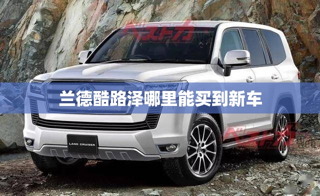 兰德酷路泽哪里能买到新车