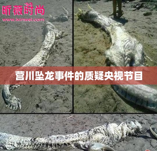 玩家辅助神器:“新绍兴麻将可以开挂吗”辅助透视教程