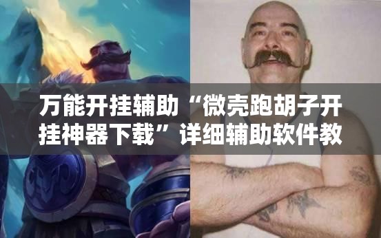 万能开挂辅助“微壳跑胡子开挂神器下载”详细辅助软件教程