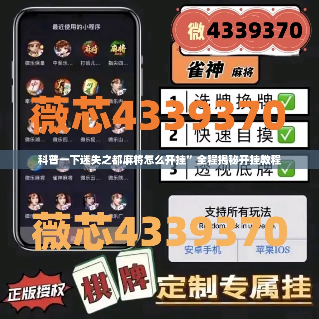 辅助最新信息“玖天乐游二八杠有挂吗”详细辅助软件教程