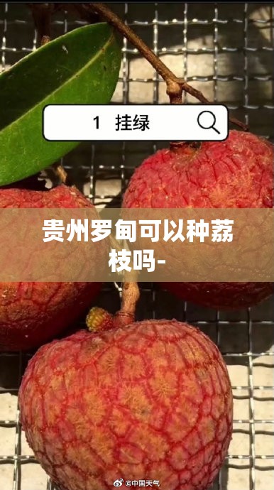 全国十大鱼竿排名顺序