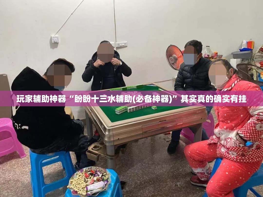 玩家辅助神器“盼盼十三水辅助(必备神器)”其实真的确实有挂