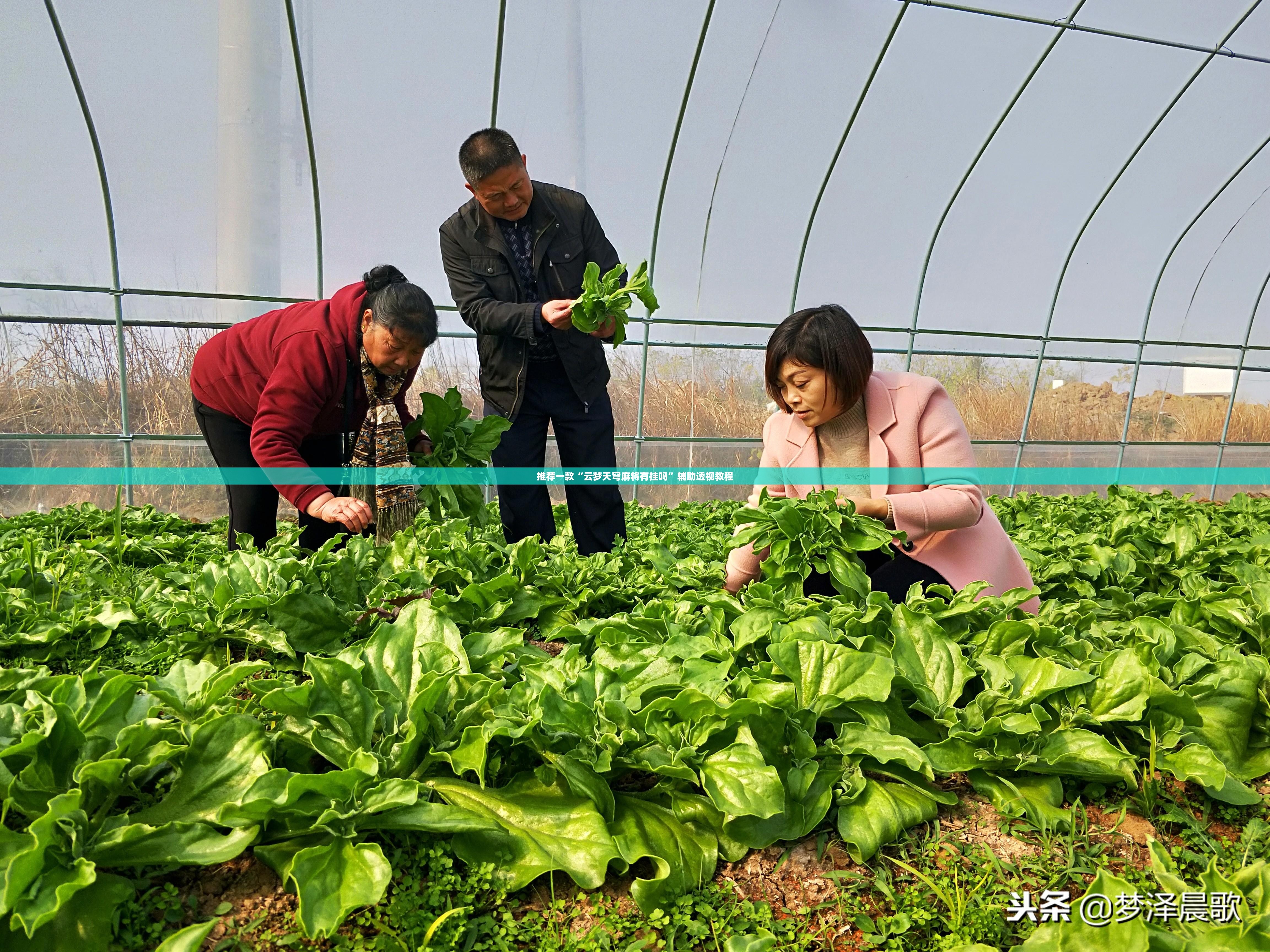 推荐一款“云梦天穹麻将有挂吗”辅助透视教程
