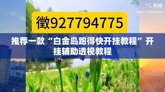 推荐一款“白金岛跑得快开挂教程”开挂辅助透视教程